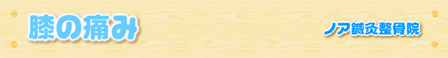 膝の痛み｜ノア鍼灸整骨院