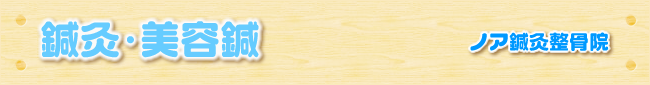 鍼灸・美容鍼｜ノア鍼灸整骨院