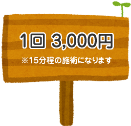 1回3000円